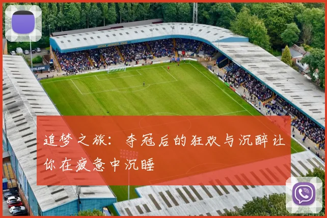 追梦之旅：夺冠后的狂欢与沉醉让你在疲惫中沉睡